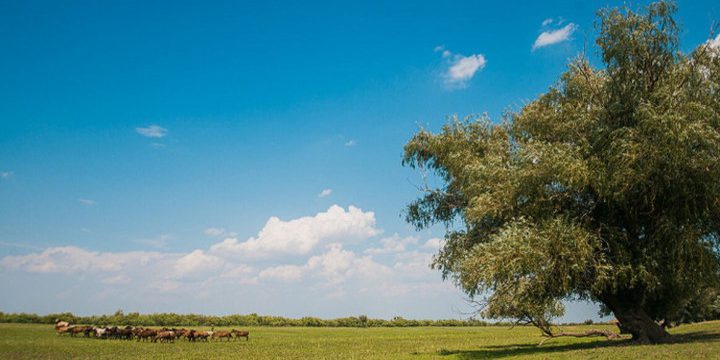 "8 settembre: tra Natalia Ovsiannikova e Adriano Autunnale, tradizioni e superstizioni da conoscere"