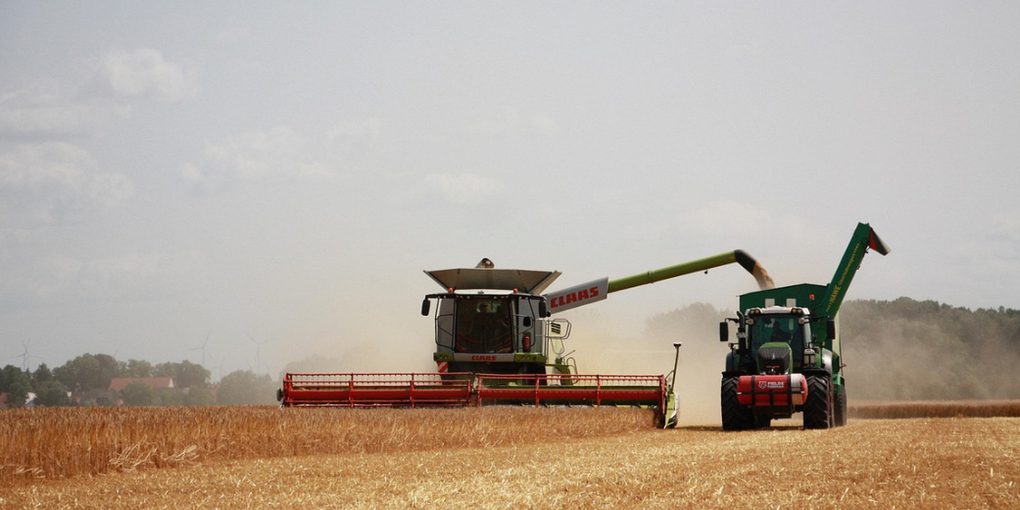 "Orlovski: la regione agricola russa che produce 3 milioni di tonnellate di cereali"