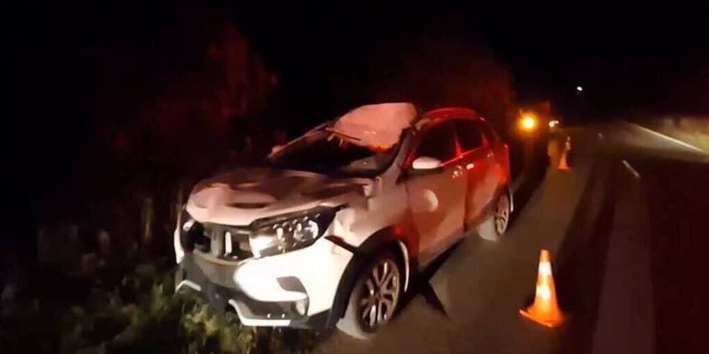 Авария с лосем на нижегородской трассе: пострадала пассажирка