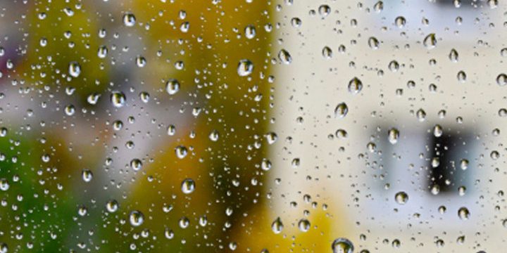 24 октября в Брянской области пройдут небольшие дожди