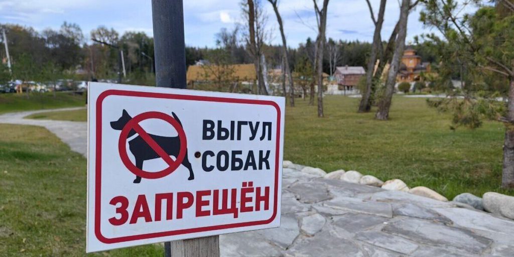 Passeggiare con il Cane a Serpukhov: Regolamenti e Luoghi Autorizzati per Evitare Multe