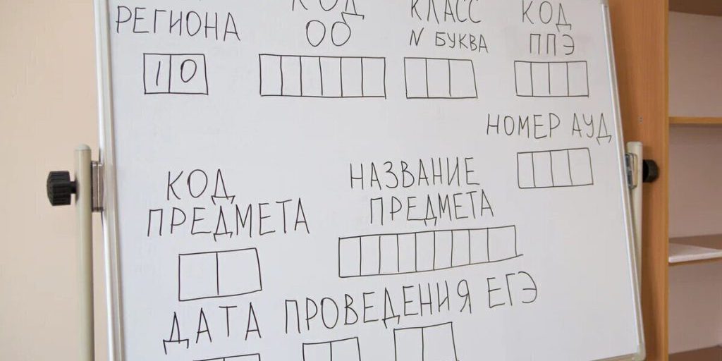 Кондопожский район стал лидером по успешной сдачи ЕГЭ в этом году