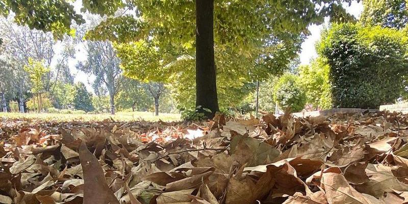 Ricordo di un padre: giacca da camera, occhiali e La Stampa sul tavolo