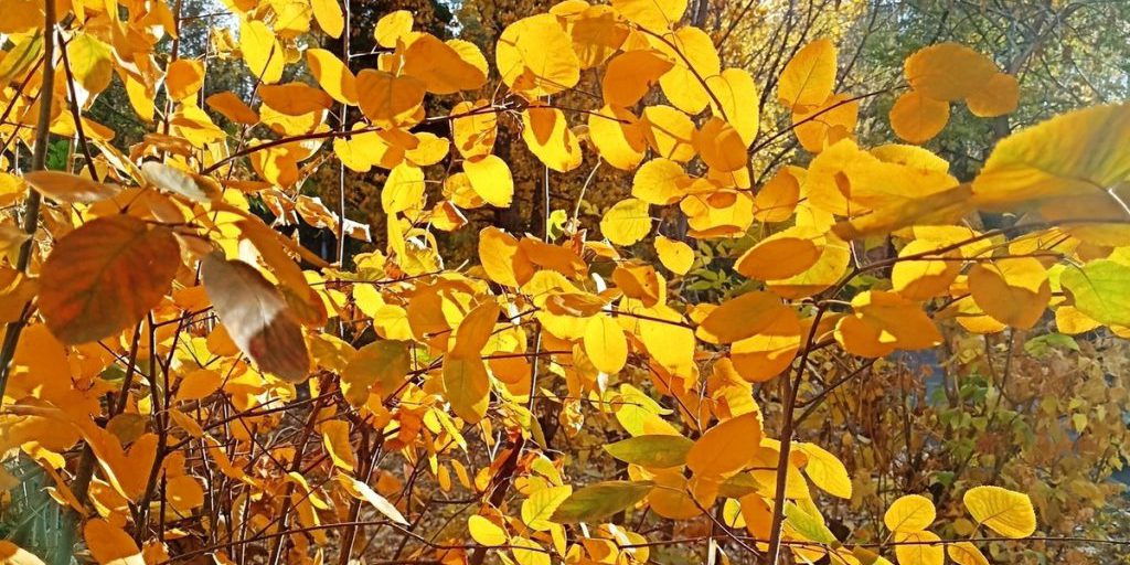 Сила магнитной бури 20 октября составит 3 балла: не стоит начинать новые дела