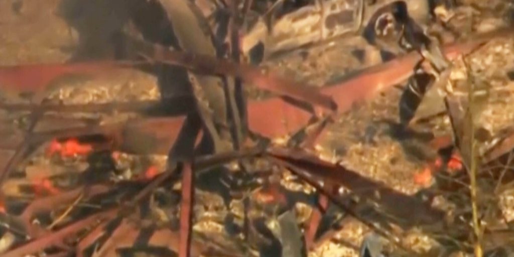 Explosion at Tennessee Ammunition Plant Leaves Multiple Dead and Several Others Missing