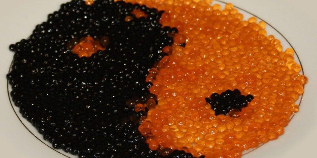 Scandalo del caviale rosso: violazioni igieniche e problemi di tracciabilità presso un'azienda ittica di Ivanovo