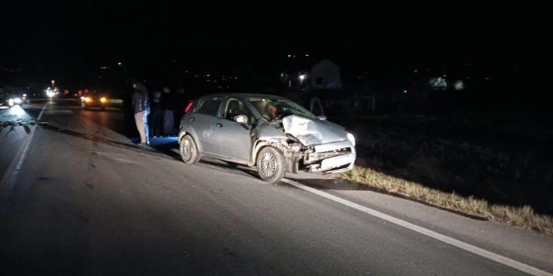 Uomo investito mentre soccorre una volpe sulla Statale 460