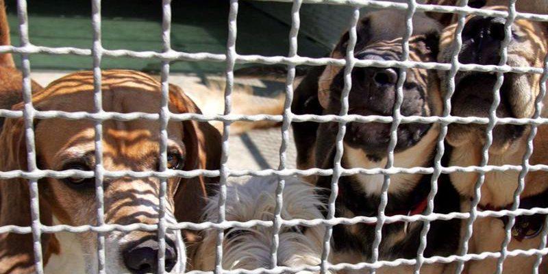 112701179-8ee4a548-efd4-4d2d-ac5c-ec9e63884e7e