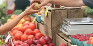 La Commissione Europea Taglia la PAC 2028-2034 del 20%: Coldiretti Critica la Mancanza di Risposte Concrete per il Settore Agricolo