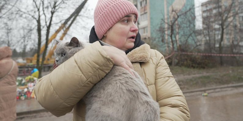 Gatto salvato tra i detriti di un edificio distrutto a Ternopil