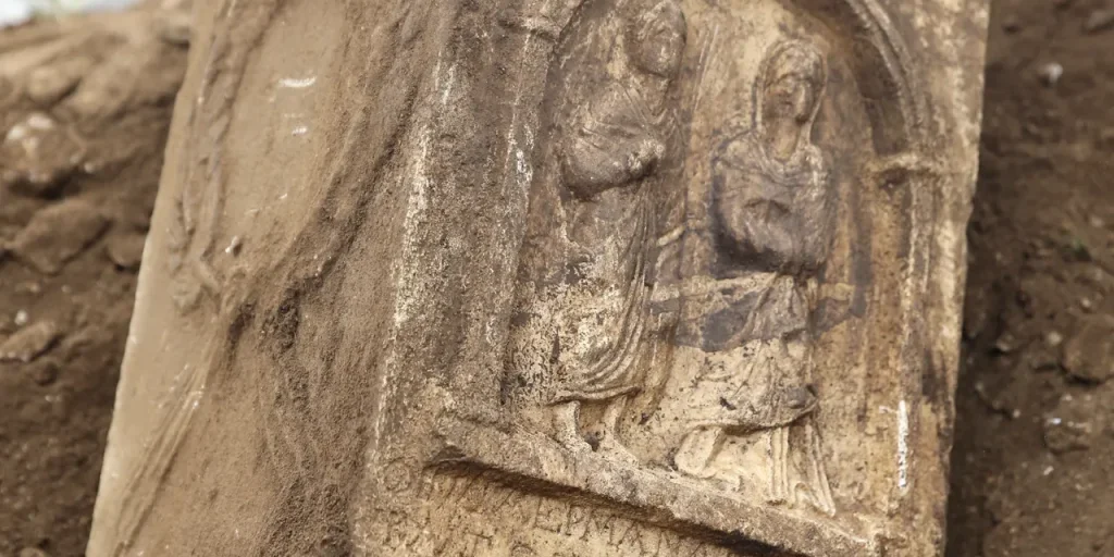 12 persone trasportate con forza