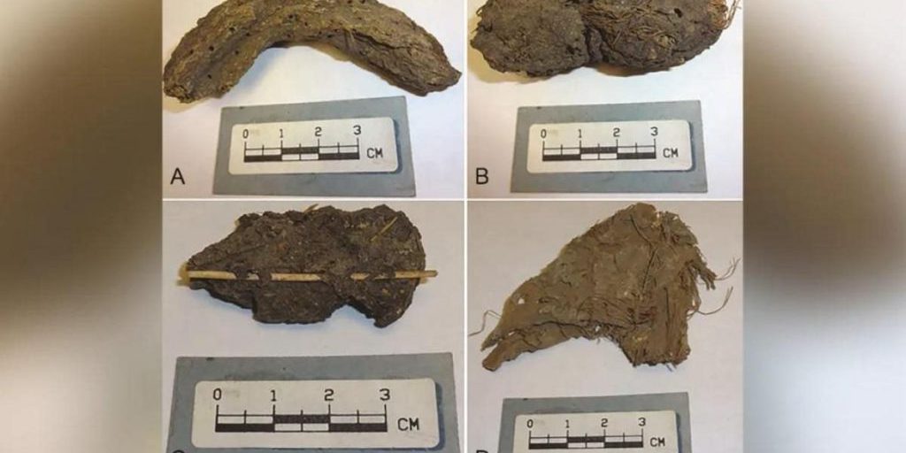 Ученые изучили экскременты возрастом 1300 лет и были удивлены тем, что в них нашли