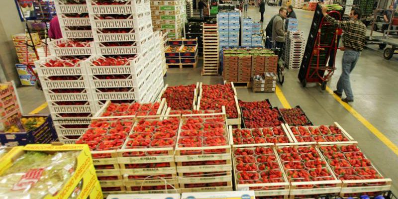 120713402-9141ec43-2138-4c81-ba98-637a92463526-1