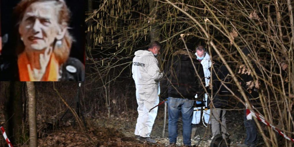 122713873-7d04a184-4773-45da-a739-da887c749ef6