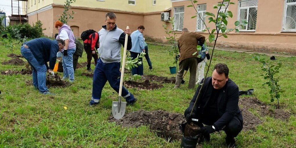 Medici dell'ospedale regionale di Novgorod promuovono la salute e il benessere piantando alberi di melo