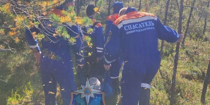 "Soccorso a Tosno: uomo disperso nel bosco trovato sano e salvo dopo un giorno di ricerca"