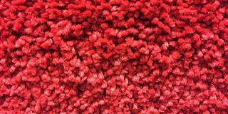 Radici Pietro, CFO SIM incrementa target price e conferma Buy