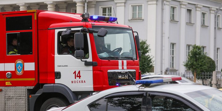 Стали известны последствия пожара в новосибирском зоопарке