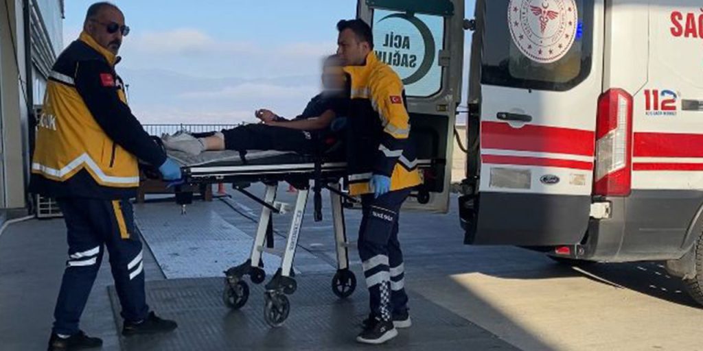 Ragazza di 13 anni attaccata da cani randagi a Burdur: un incidente terribile che solleva interrogativi sulla sicurezza pubblica