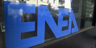 Enea, Agricoltura: microbi 'su misura' per salvare gli ulivi dalla siccità