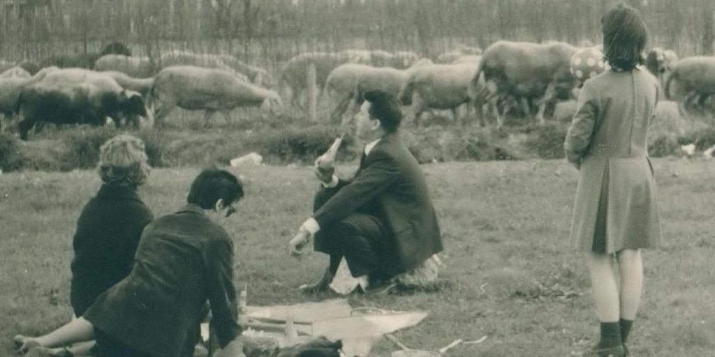 135156240-c4440473-db33-47cb-b3f1-5d140f7c7d6b