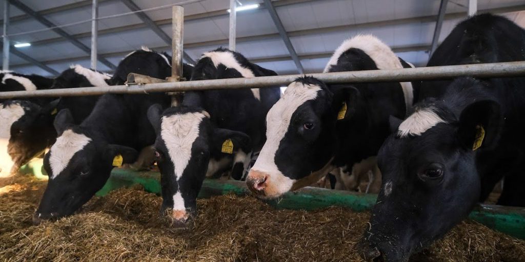 Sostegno Governativo all'Agrobusiness in Russia: Una Strategia per la Sicurezza Alimentare e lo Sviluppo Economico