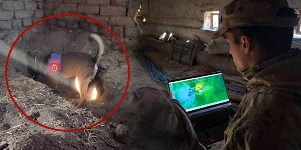 Omicidio a Eskişehir Dopo 14 Anni di Mistero Svelato con Arresto del Fratello della Vittima