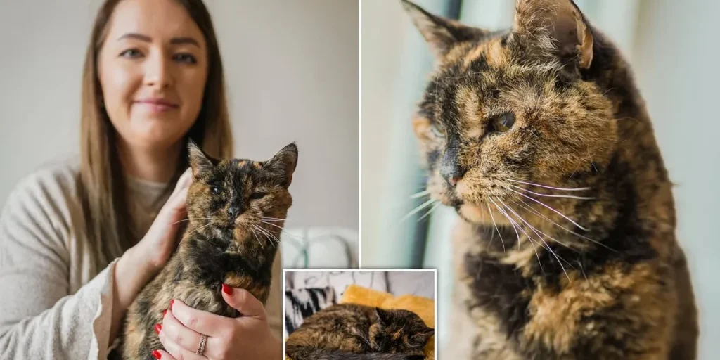 Richiesta di invio del testo originale per procedere con la revisione