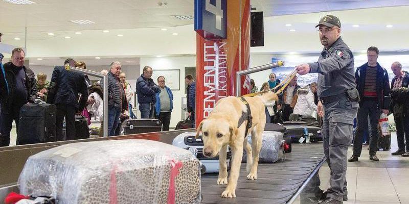 Sequestro di cocaina all'aeroporto di Torino: nove chili di droga nascosti con ingegno nei bagagli di un corriere