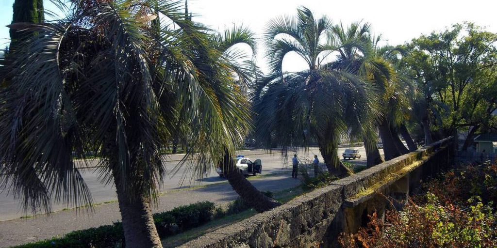 В горах Абхазии автобус с туристами съехал с дороги, погиб человек