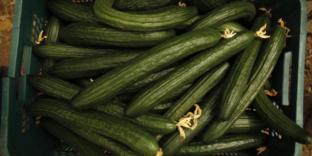 Популярный в Украине овощ дорожает практически ежедневно: сколько теперь стоит