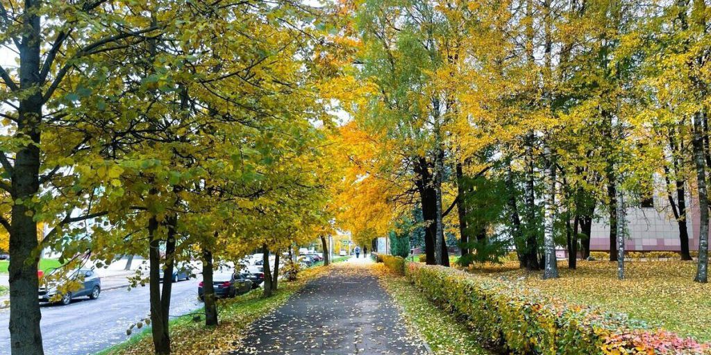 Какая погода будет стоять в Смоленске 25 октября