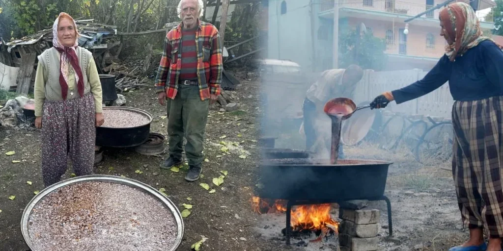 Sciroppo di coni di pino di Antalya: produzione, uso terapeutico e prezzo.