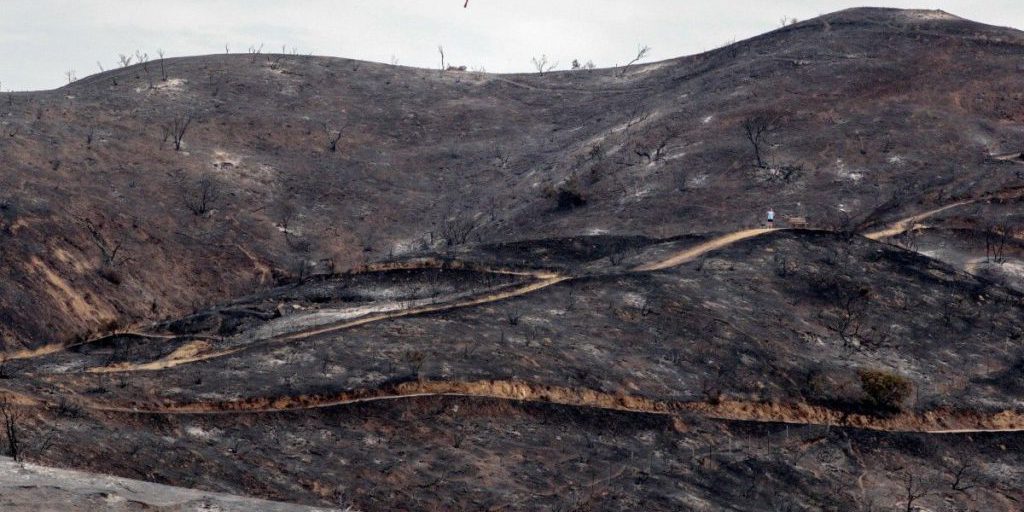 Суд США принял рисунок ChatGPT в качестве доказательства по делу о пожарах в Лос-Анджелесе