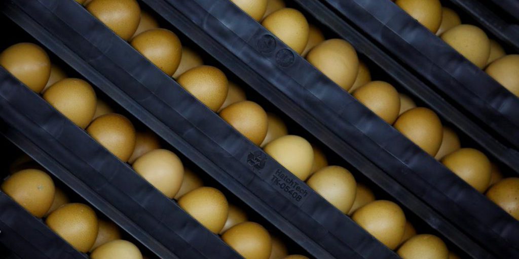 Aumento dei Prezzi Alimentari in Ucraina: Impatto sulla Vita Quotidiana e Possibili Soluzioni