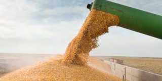 AGEA, nel primo giorno pagamenti record per la PAC