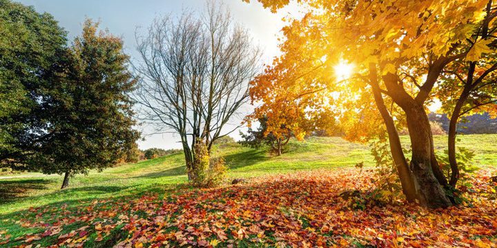 Туман и 16 градусов тепла прогнозируют в Херсонской области 22 октября