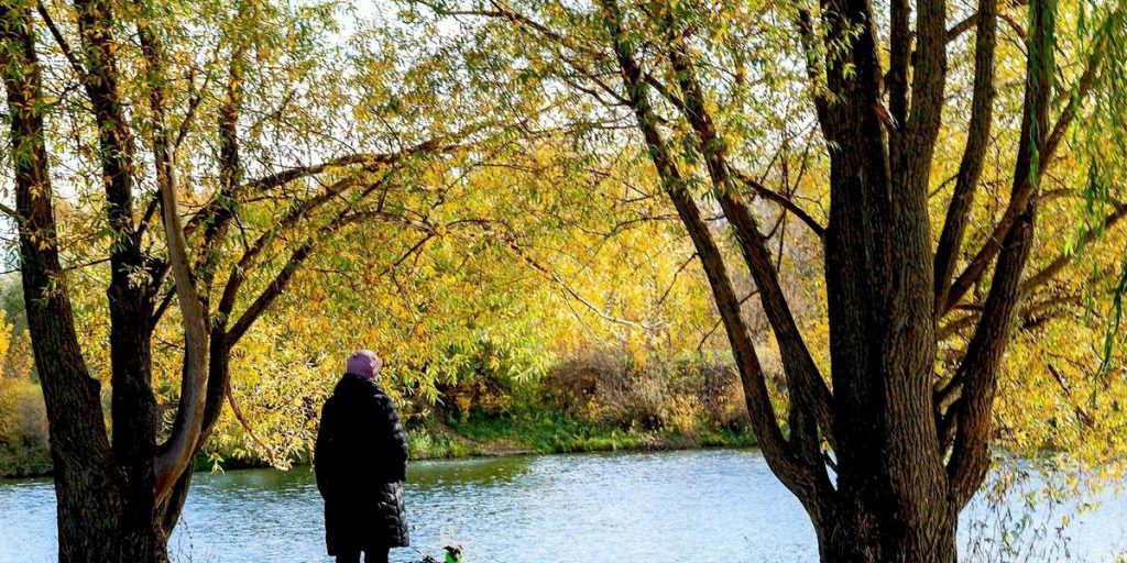 Multa senza precedenti in Russia per la mostra di un cane: una donna contesta la decisione in tribunale