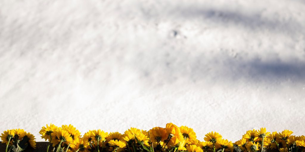 Richiesta di invio del testo originale per revisione