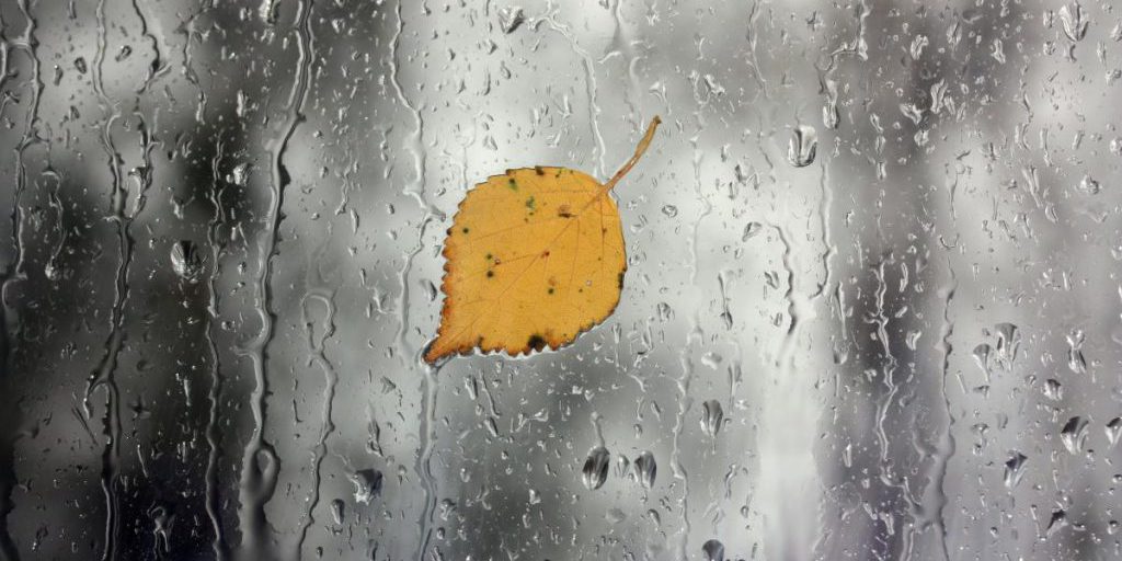 Сегодня в Украину нагрянут дожди и холод: где испортится погода