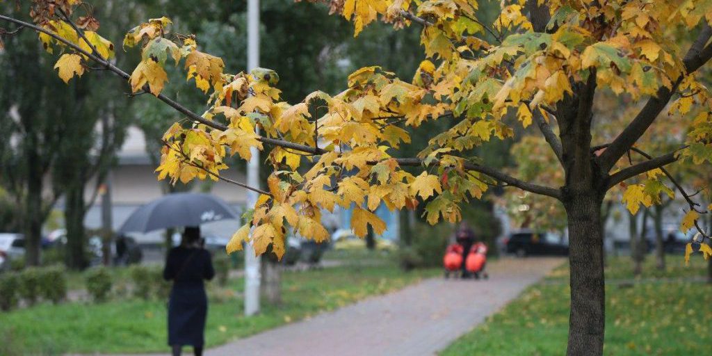 9 октября в Киеве будет холодно и мокро