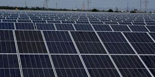 Carenza di lavoratori green in Italia: oltre 2 milioni di figure professionali mancanti nel 2024