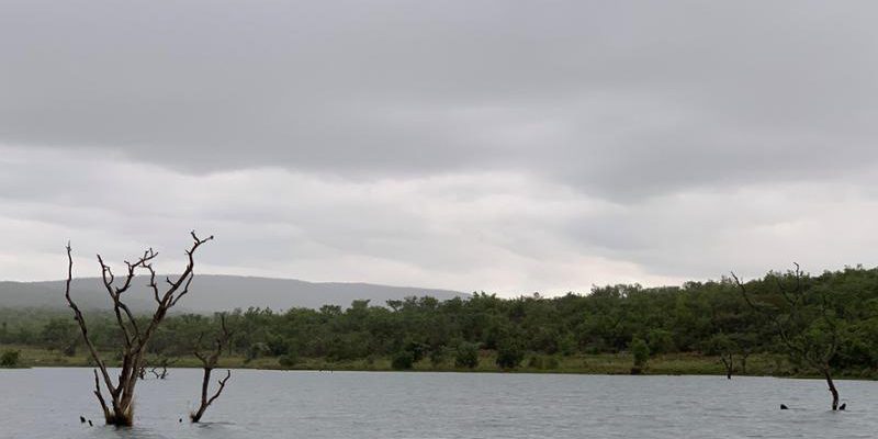 Estratto del nuovo romanzo di Ricuperati: ritorno al personaggio del precedente libro