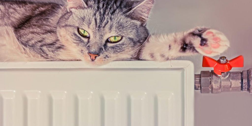 В "Укрэнерго" рассказали, когда в Украине включат отопление в домах