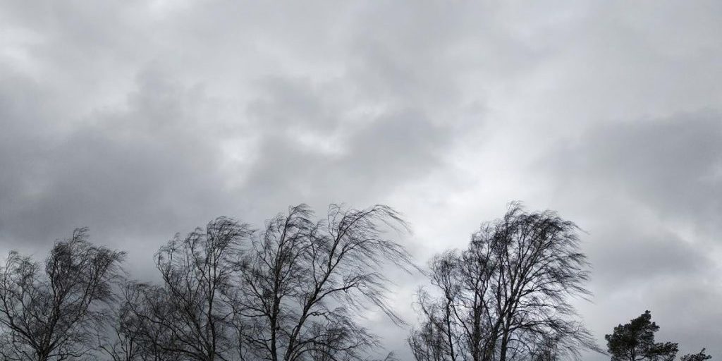 Avviso di tempesta a Kharkiv: vento forte e condizioni scivolose previste