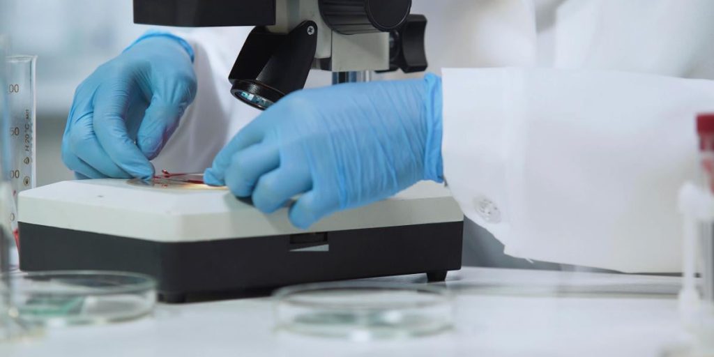 Fungo letale più contagioso si diffonde in tutto il mondo