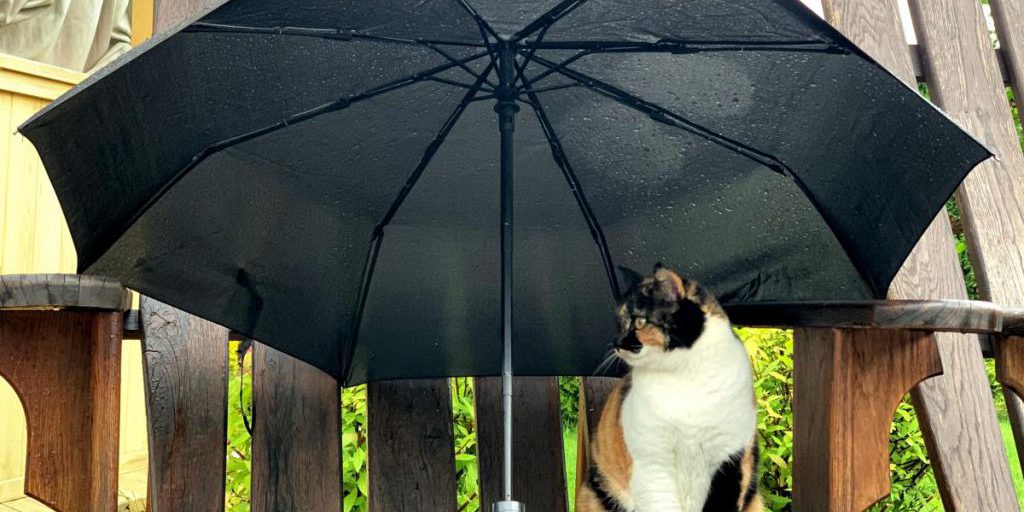 Циклон изменит погоду в Украине: синоптики раскрыли детали