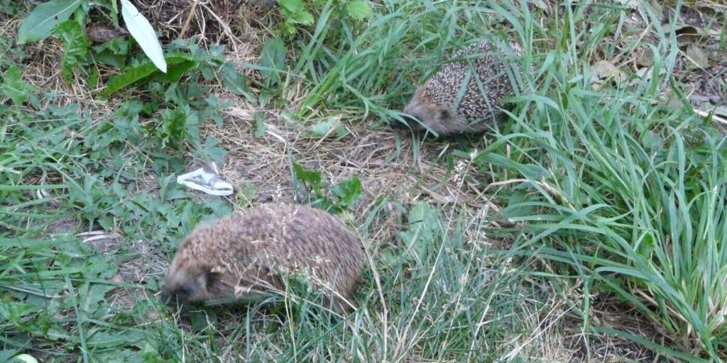 Сегодня в Поморье облачно