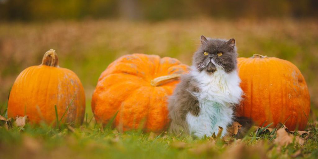 23 октября украинцев ждет один из самых теплых дней недели