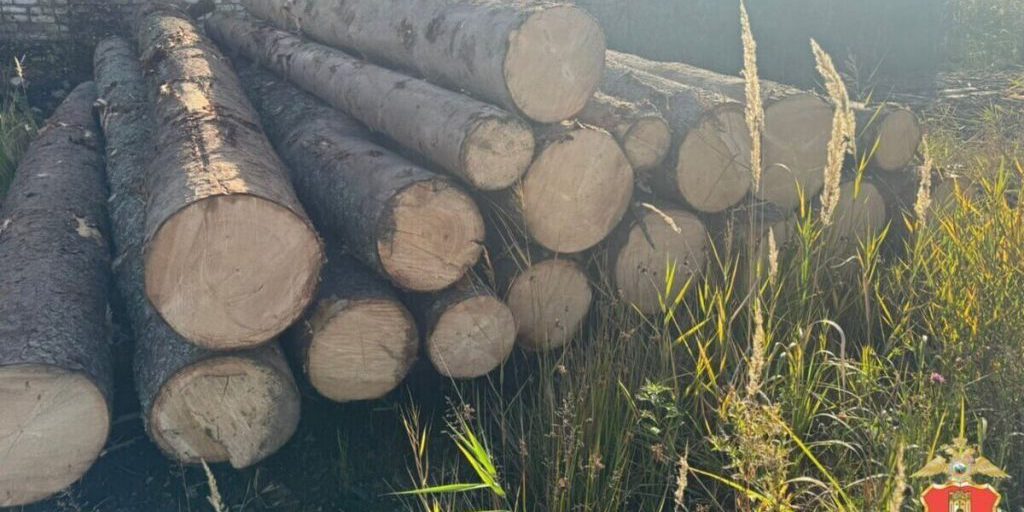 В Тверской области поместили под домашний арест мужчину, который рубил лес для строительства бани